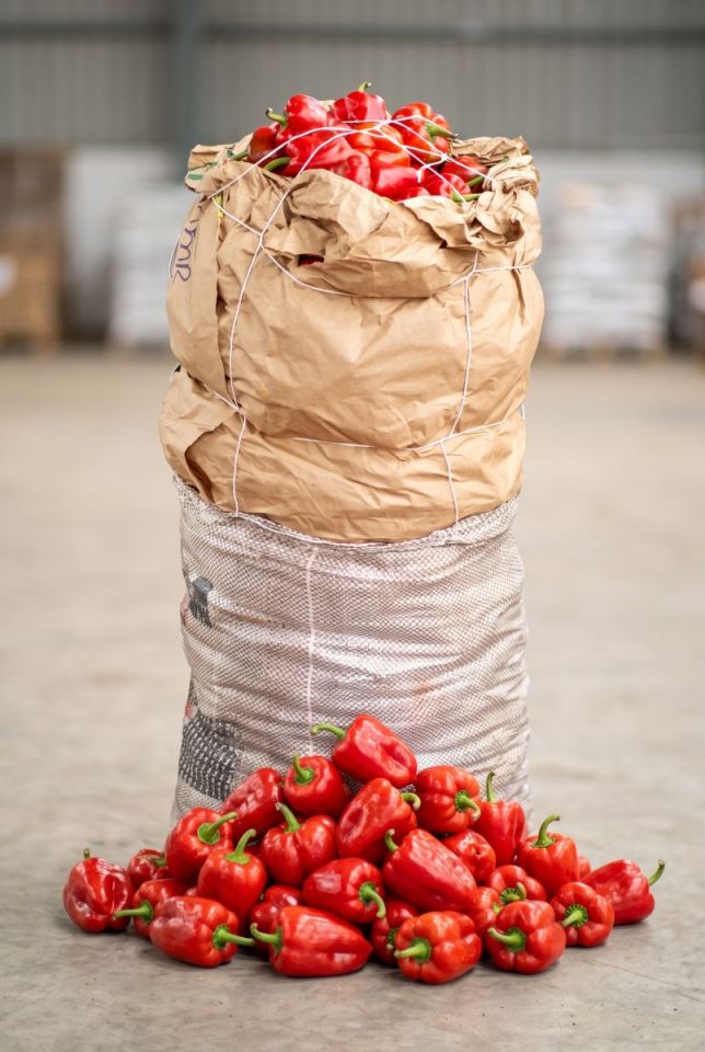 Red Bell Pepper - Tatashe - Red Bell Pepper - Tatashe (25kg Bag - Select preferred size)