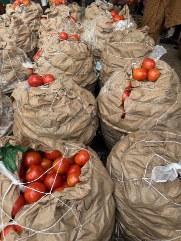 Tomatoes Grade A* - Large Basket Red - De Rica Jos - Grade A* - Large Basket