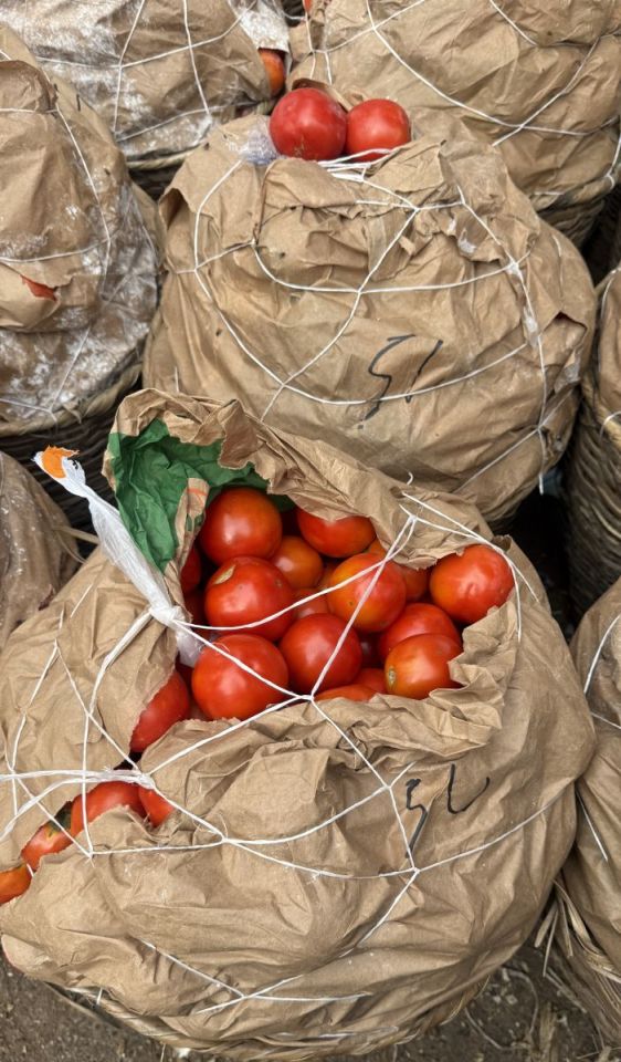 Fresh Tomatoes Grade A - Large Basket - De Rica Jos (Grade A - Large Basket)