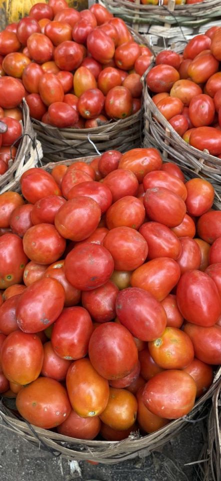 Fresh Tomatoes - Grade B - Large - De Rica Jos (Grade B Large)