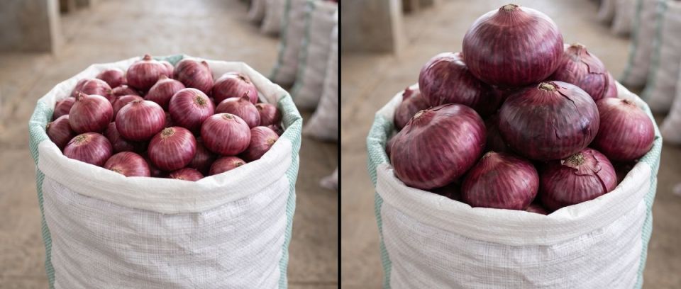 Onions - Unbranded (Quarter Bag Medium or Large Onion Bulbs - Select a)