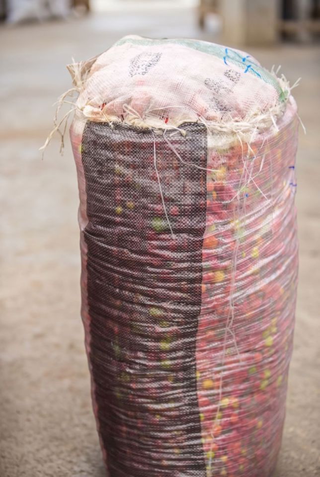 Ata Rodo/Ata Rugu (Scotch Bonnet or Habanero Pepper) - Scotch Bonnet or Habanero Pepper (25kg Bag - Select preferred size)